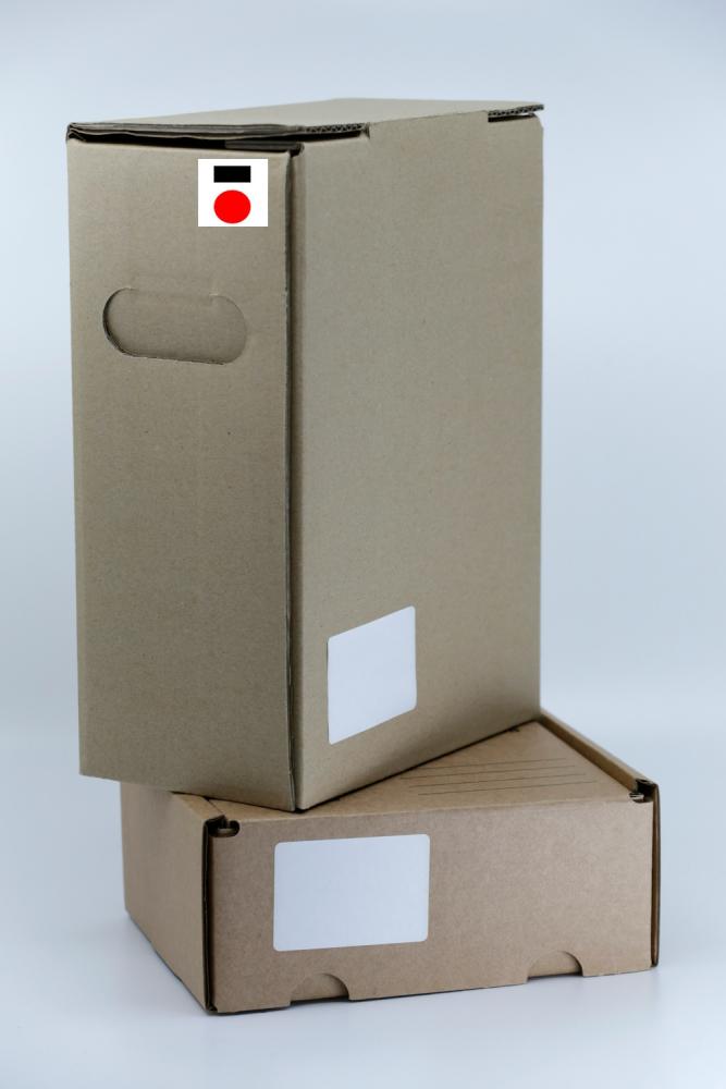 Rilevazione Presenze Web On-Prem per Azienda Stampa Flessografica a Modena